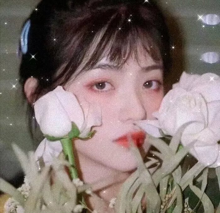 无情世家