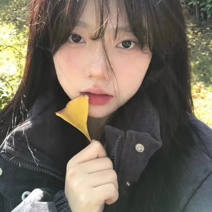 云雾之上